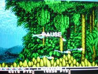 une photo d'Ã©cran de Bio Hazard Battle sur Sega Megadrive